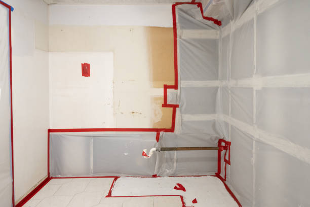 Best Indoor Air Quality Assessment  in Sauk Rapids, MN