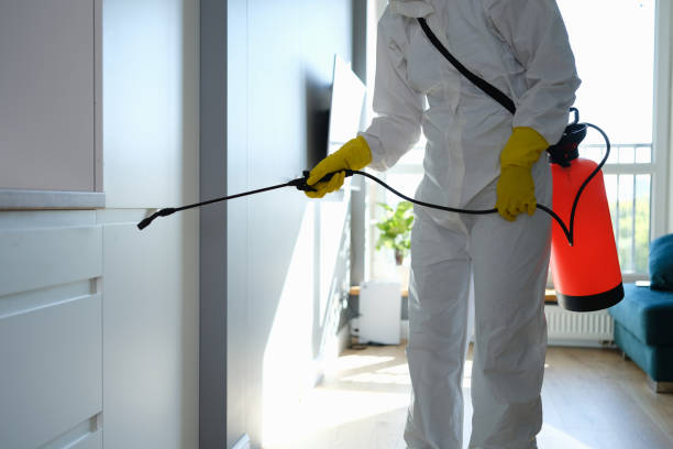 Best Crawl Space Mold Remediation  in Sauk Rapids, MN