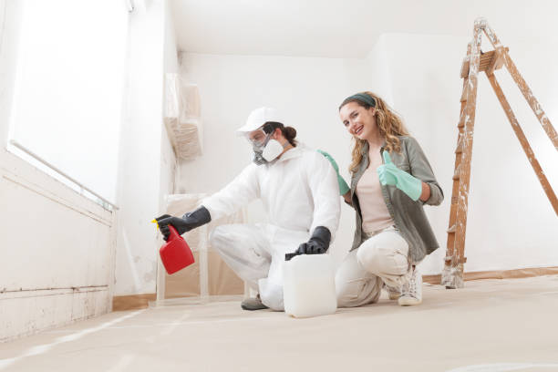 Asbestos and Lead Testing During Mold Inspection in Sauk Rapids, MN